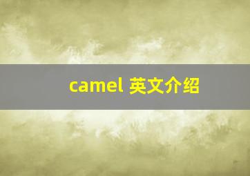 camel 英文介绍